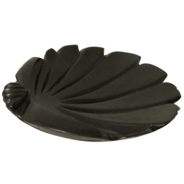 Coquille Coquille