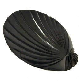 Coquille Coquille